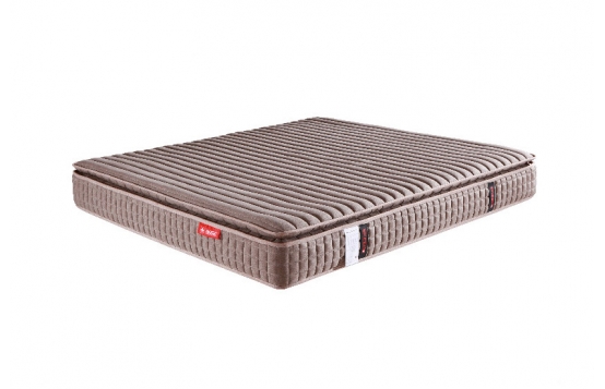 SCHWYZ施维茨-806